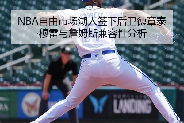 NBA自由市场湖人签下后卫德章泰·穆雷与詹姆斯兼容性分析