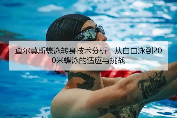 cha-er-mo-si-die-yong-zhuan-shen-ji-shu-fen-xi-cong-zi-you-yong-dao-mi-die-yong-de-shi-ying-yu-tiao-zhan-1-415.jpg